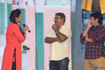 Krishna Gadi Veera Prema Gaadha Movie Audio Launch